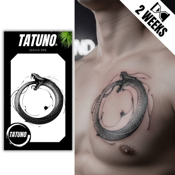 Tatuaż jagua półtrwały ouroboros węża w stylu graficznym