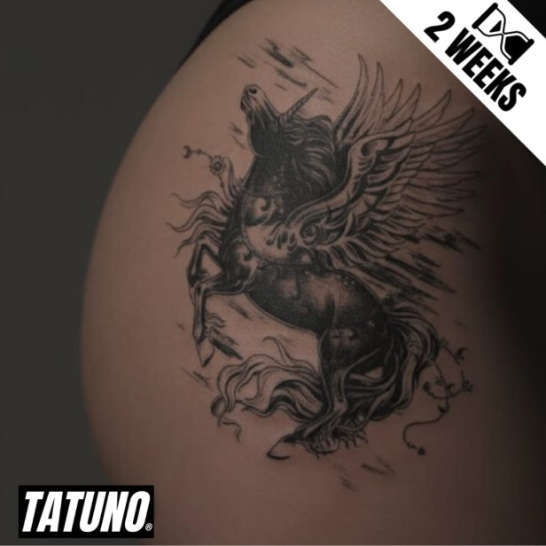 Tatuaż jagua półtrwały gniew Pegaza