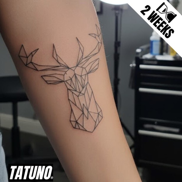 Tatuaż jagua półtrwały abstrakcyjne jelenie