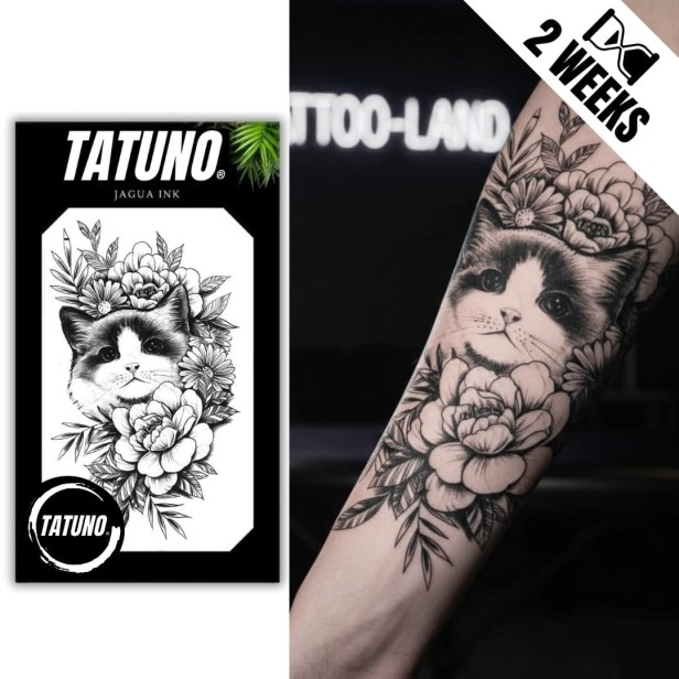Tatuaż jagua półtrwały koci blask