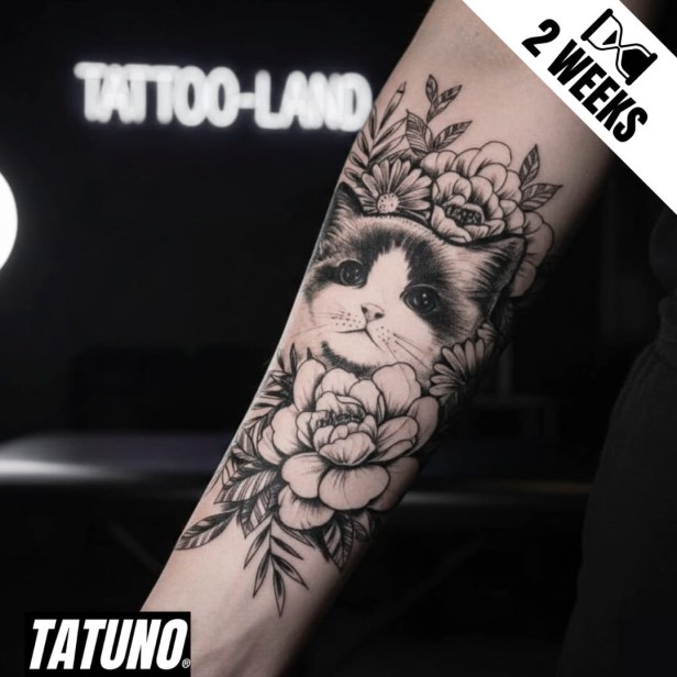 Tatuaż jagua półtrwały koci blask