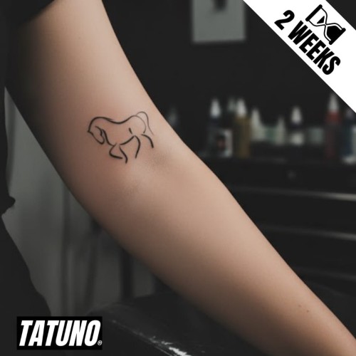Tatuaż jagua półtrwały koń