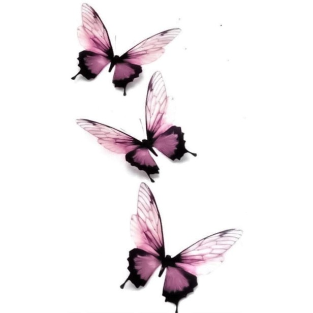 Tatuaż mały tymczasowy motylki